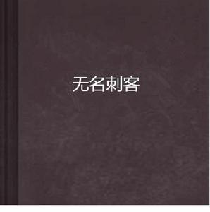 無名刺客 無名刺客