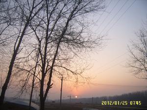 新農村房地產蒸蒸日上