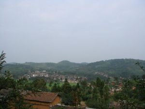 大峨梅村 大峨梅村