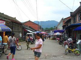 油榨街道 油榨街道