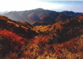 霍山老爺頂 霍山老爺頂