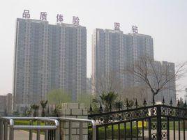 正商藍鑽 正商藍鑽