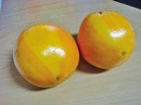 染色橙子 染色橙子