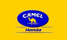 駱駝-本田 駱駝-本田