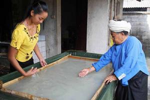 傣族、納西族手工造紙技藝 傣族、納西族手工造紙技藝