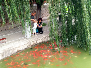 平涼廣成大酒店 平涼廣成大酒店