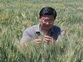 吳新元[新疆農科院糧食作物研究所所長]