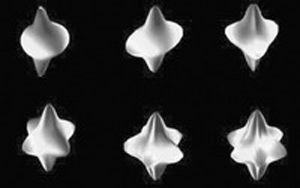 納米金星 納米金星