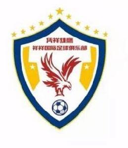 廣西雄鷹祥祥國際足球俱樂部 廣西雄鷹祥祥國際足球俱樂部