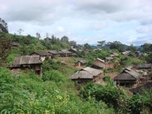 班莫新寨自然村 班莫新寨自然村