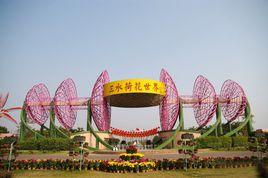 荷花世界 荷花世界