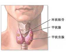 老年人甲狀腺癌