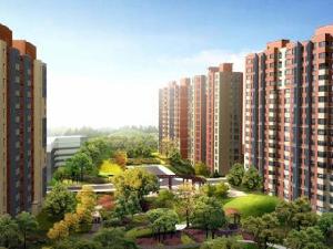 大禹華邦 大禹華邦