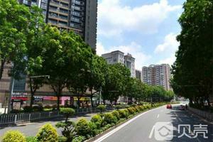 康王北路 康王北路