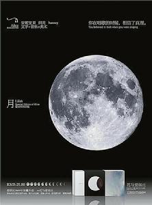 北京洋之音文化發展有限公司 北京洋之音文化發展有限公司