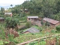 白梁子村 白梁子村