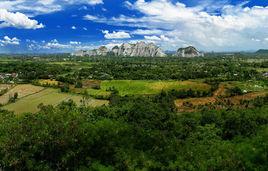 生態農村 生態農村