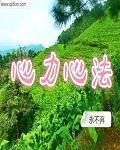 心力心法