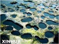 第四紀古冰川時期 第四紀古冰川時期