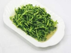 濉溪豆苗 濉溪豆苗