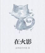 在火影 在火影
