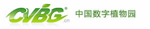 中國數字植物園