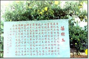 萊陽照旺莊 萊陽照旺莊