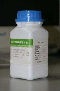 庖肉培養基 庖肉培養基