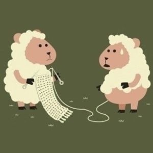 羊毛出在羊身上 羊毛出在羊身上