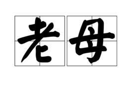 老母 老母