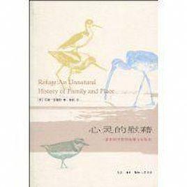 心靈的慰藉 心靈的慰藉