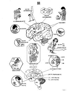 奇恆之腑 奇恆之腑