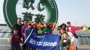 歐C草莓公園 歐C草莓公園