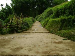 上折東村-進村道路