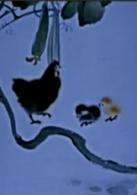 小蝌蚪找媽媽[1961年上海美術電影製片廠攝製水墨卡通片]