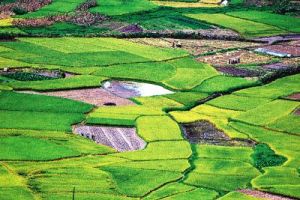 仙回瑤族鄉 仙回瑤族鄉