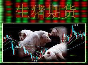 生豬期貨 生豬期貨