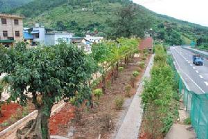 （圖）青龍廠鎮