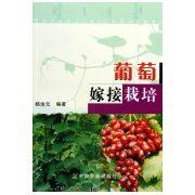 葡萄嫁接栽培 葡萄嫁接栽培