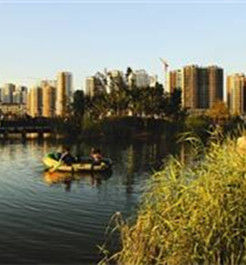 海湖新區 海湖新區