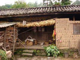 那召村[雲南墨江縣通關鎮下轄村]