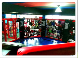 Simba.道騰格鬥綜合訓練營