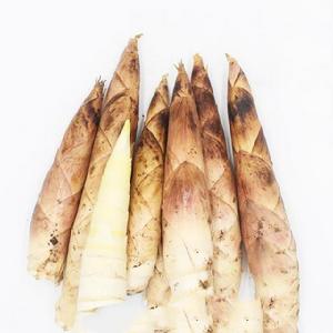 溪口雷筍 溪口雷筍