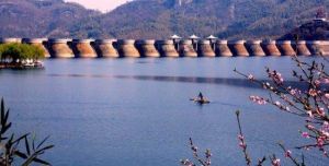 樂駕游通行證 樂駕游通行證