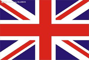 英國跆拳道隊 英國跆拳道隊