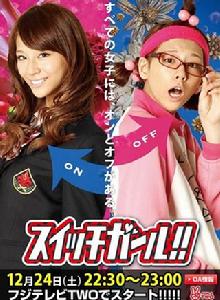 雙面少女[日本2011年西內瑪利亞主演電視劇]