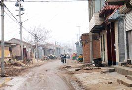 邱莊村[河北省滄州市南皮縣寨子鎮下轄村]