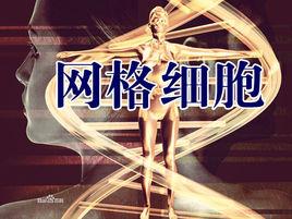 格線細胞 格線細胞