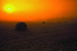 驕陽似火[詞語]