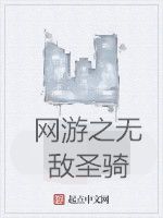 網遊之無敵聖騎